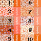 Fall SkyyDesigns 1-10