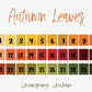 Autumn Leaves Solid Two Tone Strip 1-30