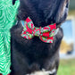 Bow Tie